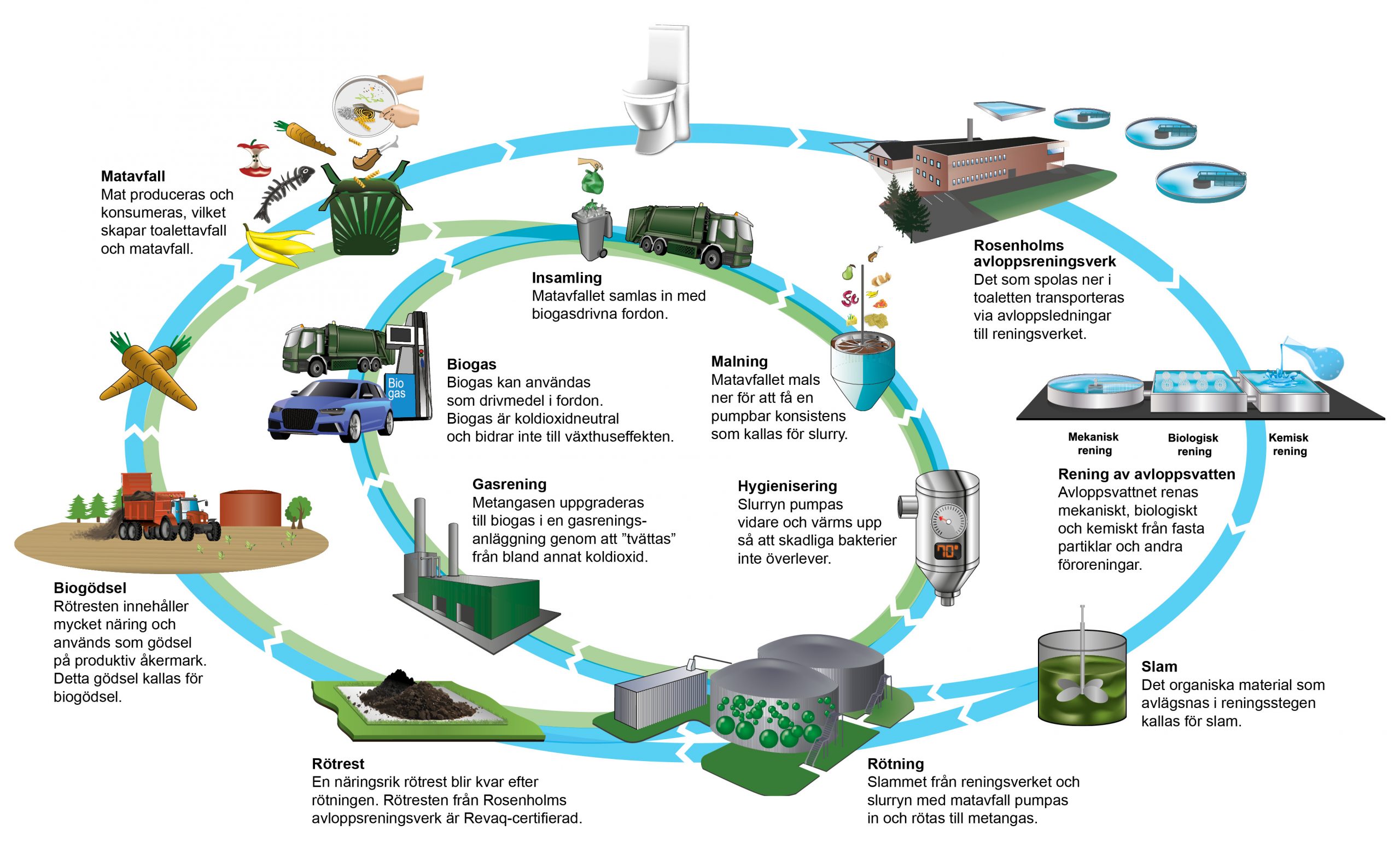 Illustration som beskriver kretsloppet kring hur biogas produceras.