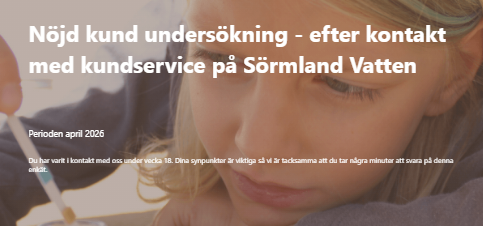 Bilden visar hur enkäten ser ut